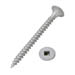 SQUARE DRIVE BUGLE HEAD FINE THREAD DRYWALL SCREW